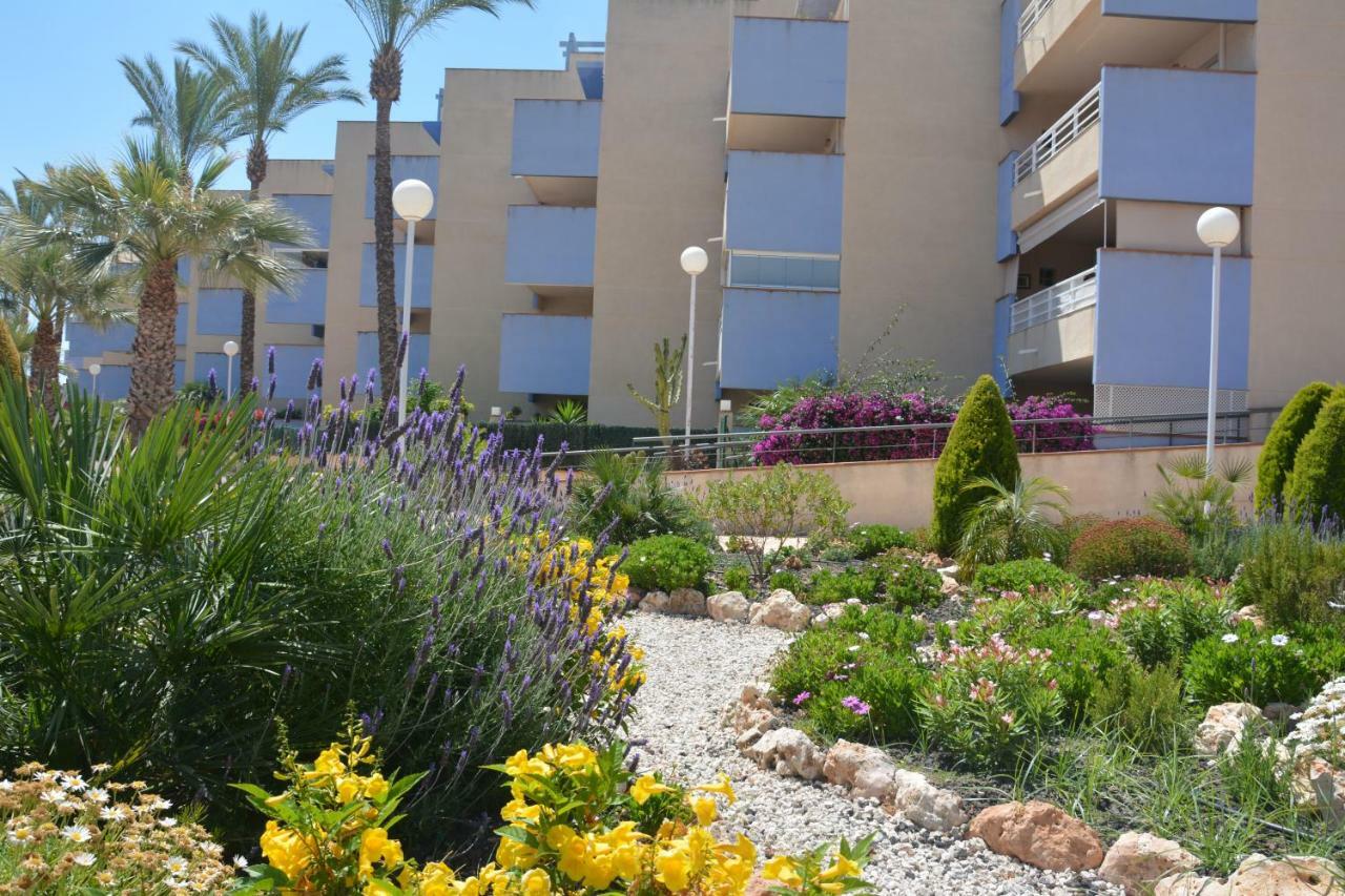 Cabo Roig Del Sol Apartment Orihuela Ngoại thất bức ảnh